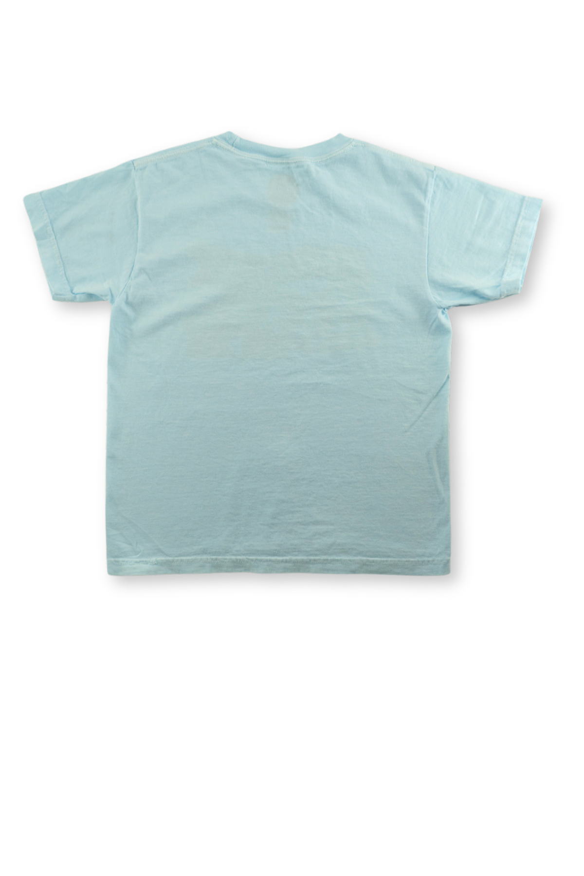 Portland Pickles Mascot Parade Tee - Chambray