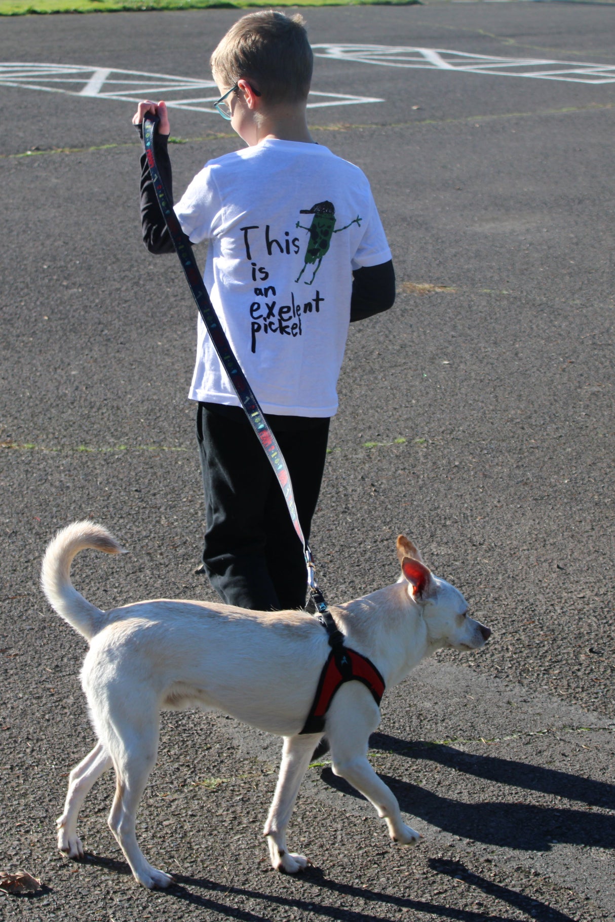 This is an Exelent Pickel White T-shirt