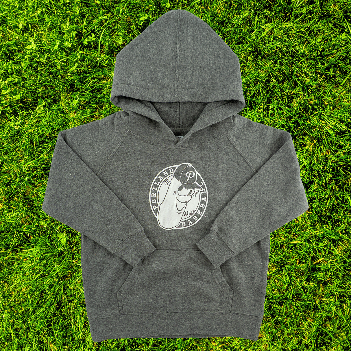 Pickles Badge Raglan Toddler Hoodie Grey