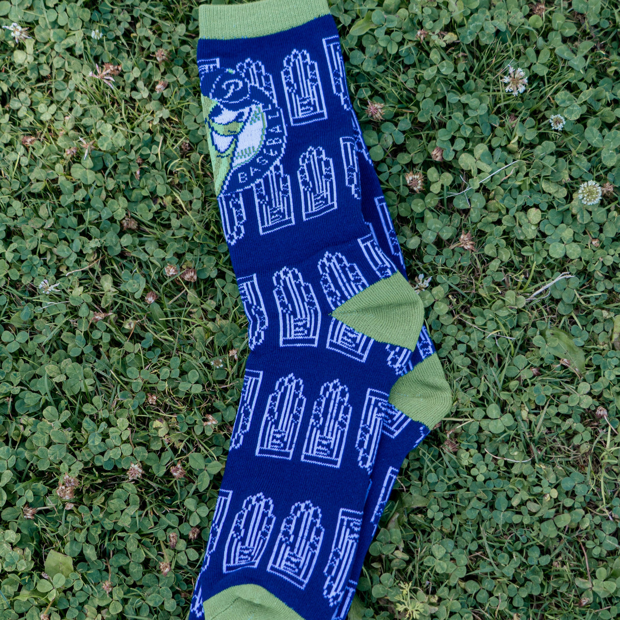 Official League X Portland Pickles Blue WCL Champion Socks