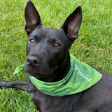 Portland Pickles Green Bandana
