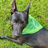 Portland Pickles Green Bandana