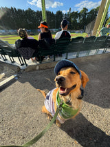 Pickles Script Dog Hat