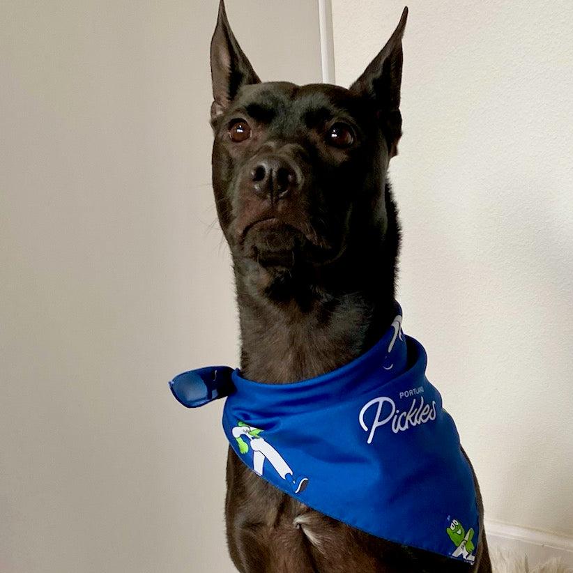 Walking Dillon Navy Bandana