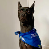 Walking Dillon Navy Bandana