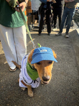 Pickles Script Dog Hat