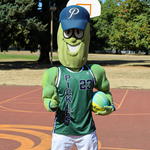 Official League Portland Pickles Basketball Jersey - Portland Pickles Baseball