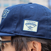 Official League Portland Pickles Walker Stadium Prestige Dad Hat - Portland Pickles Baseball