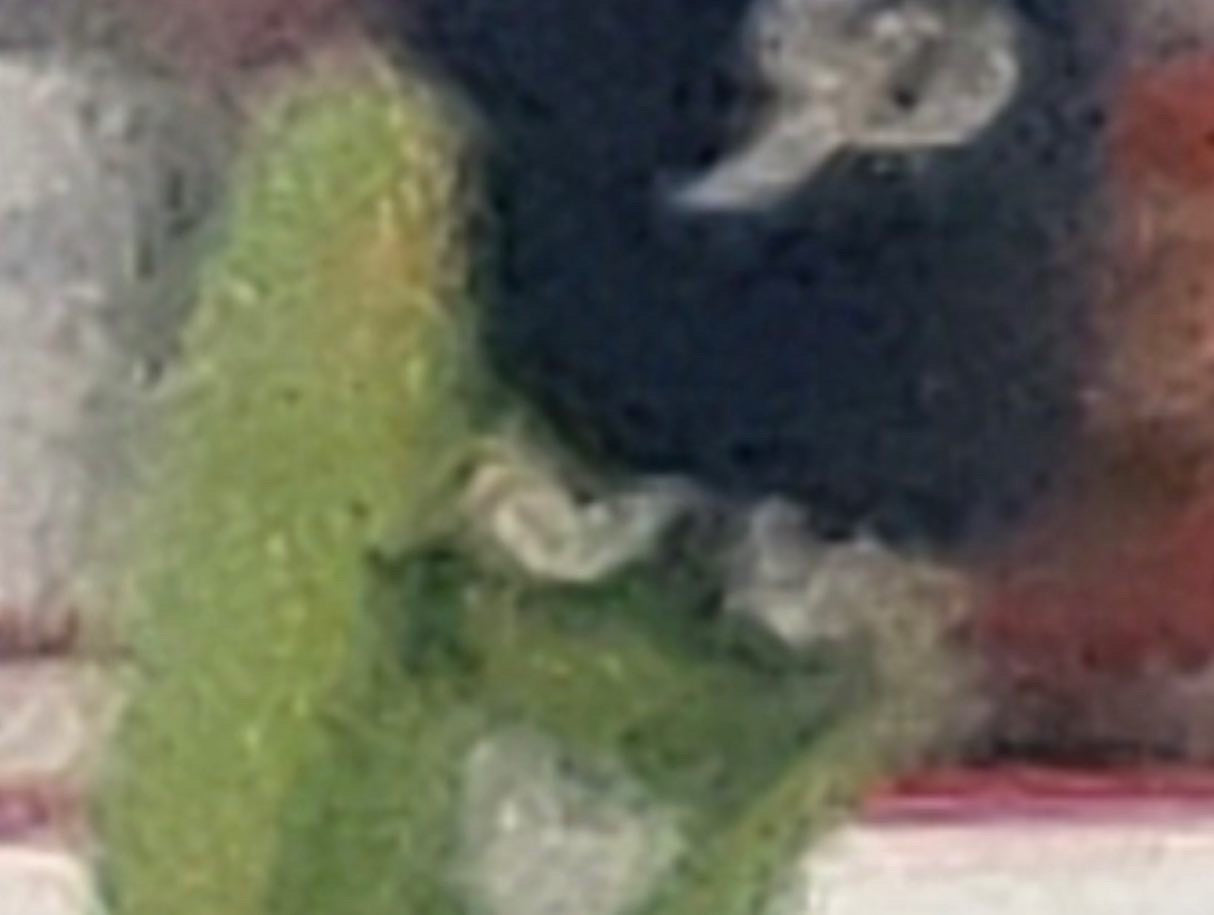 Dillon - Portland Pickles Baseball