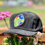 Official League Pickles Pride Corduroy Hat - Portland Pickles Baseball