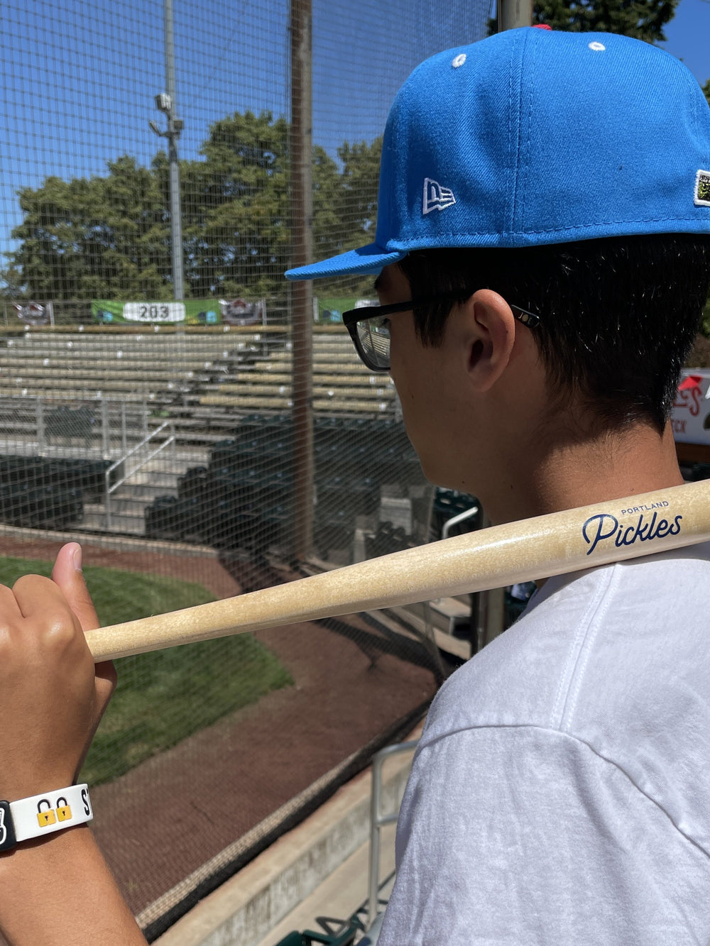 Pickles Mini Wood Bat - Portland Pickles Baseball