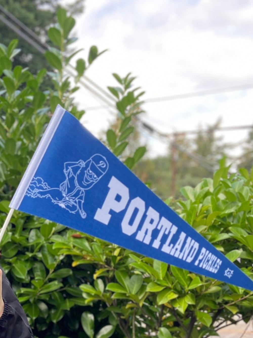 Portland Pickles Pennant - Portland Pickles Baseball