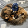 The Littlest Baseball Helmet - Portland Pickles Baseball