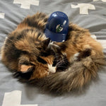 The Littlest Baseball Helmet - Portland Pickles Baseball