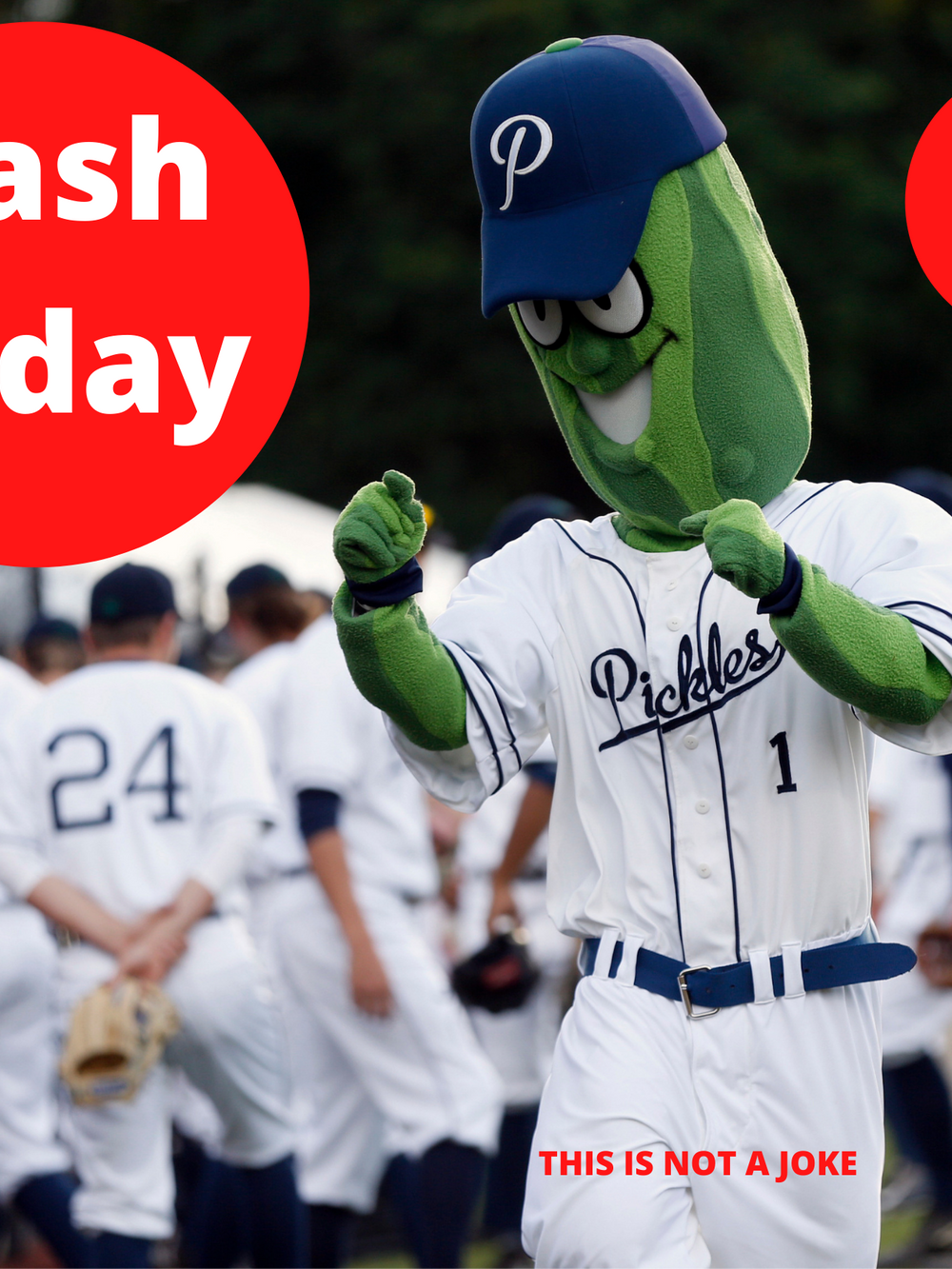 Dillon - Portland Pickles Baseball